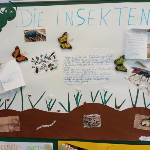 Insekten