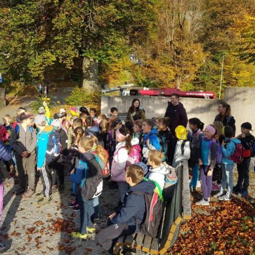 Alpenzoo