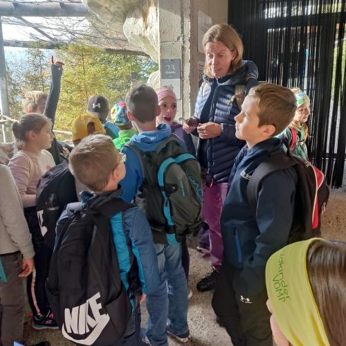 Alpenzoo