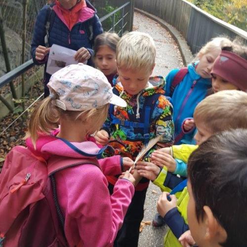 Alpenzoo