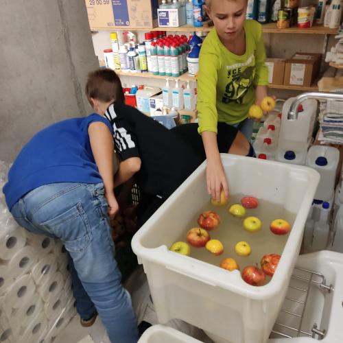 Die Kinder verarbeiten die Äpfel.