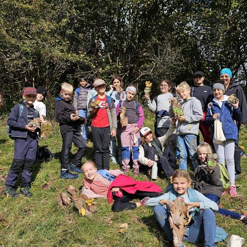 Waldtag 4c