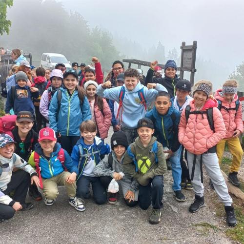 Arzler Alm 