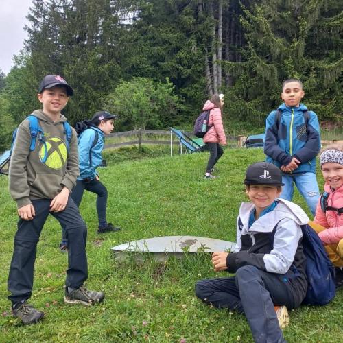 Arzler Alm 