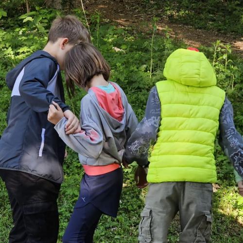 Waldtag 3b