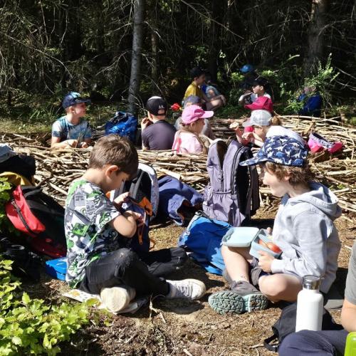 Waldtag 2b