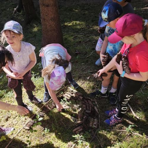 Waldtag 2b