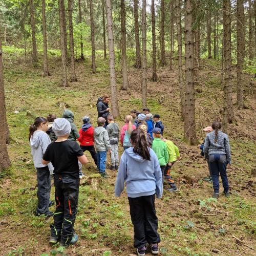 Waldtag