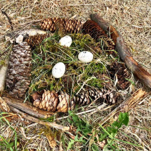 Wald_3