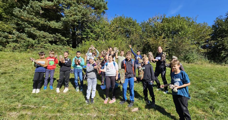 Waldtag 4a